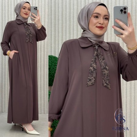 فيزون